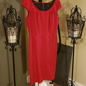 Sale!  Beautiful slim fit dress